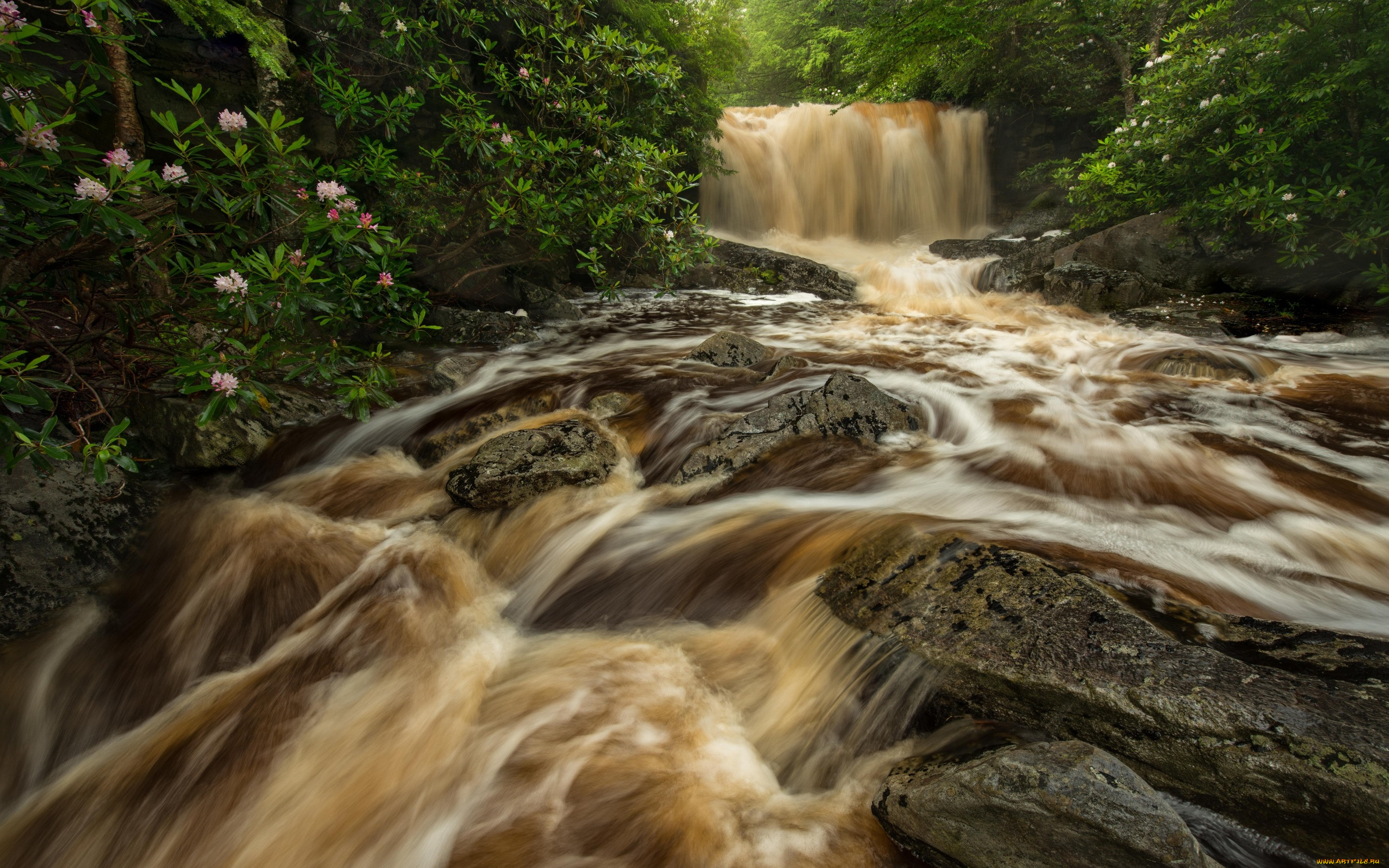 , , , , , , , , , , , west, virginia, big, run, river